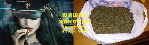гидра Заволжск
