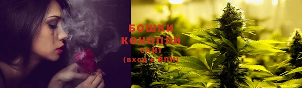 гидра Заволжск