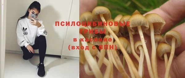 марки nbome Заводоуковск