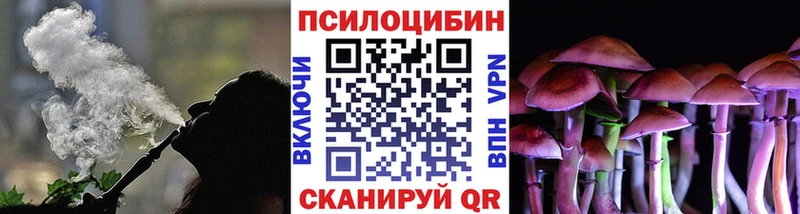 Купить где  Городовиковск  Галлюциногенные грибы Cubensis 