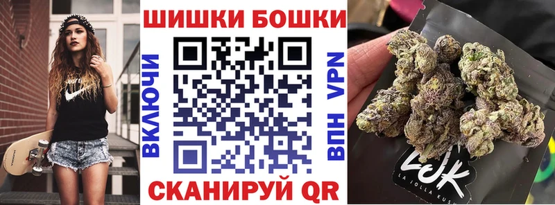 Купить закладки  Городовиковск  МАРИХУАНА сатива 